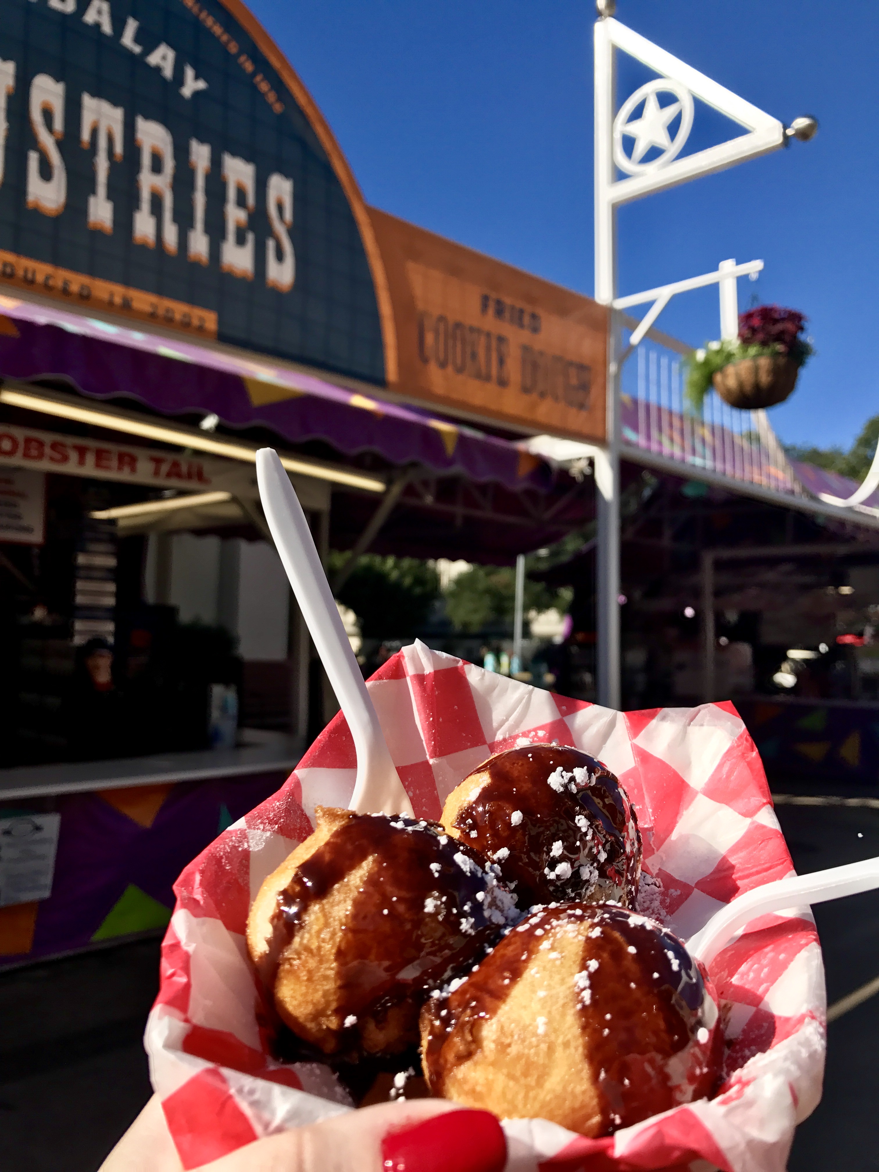 Fried Cookie Dough State Fair of Texas
