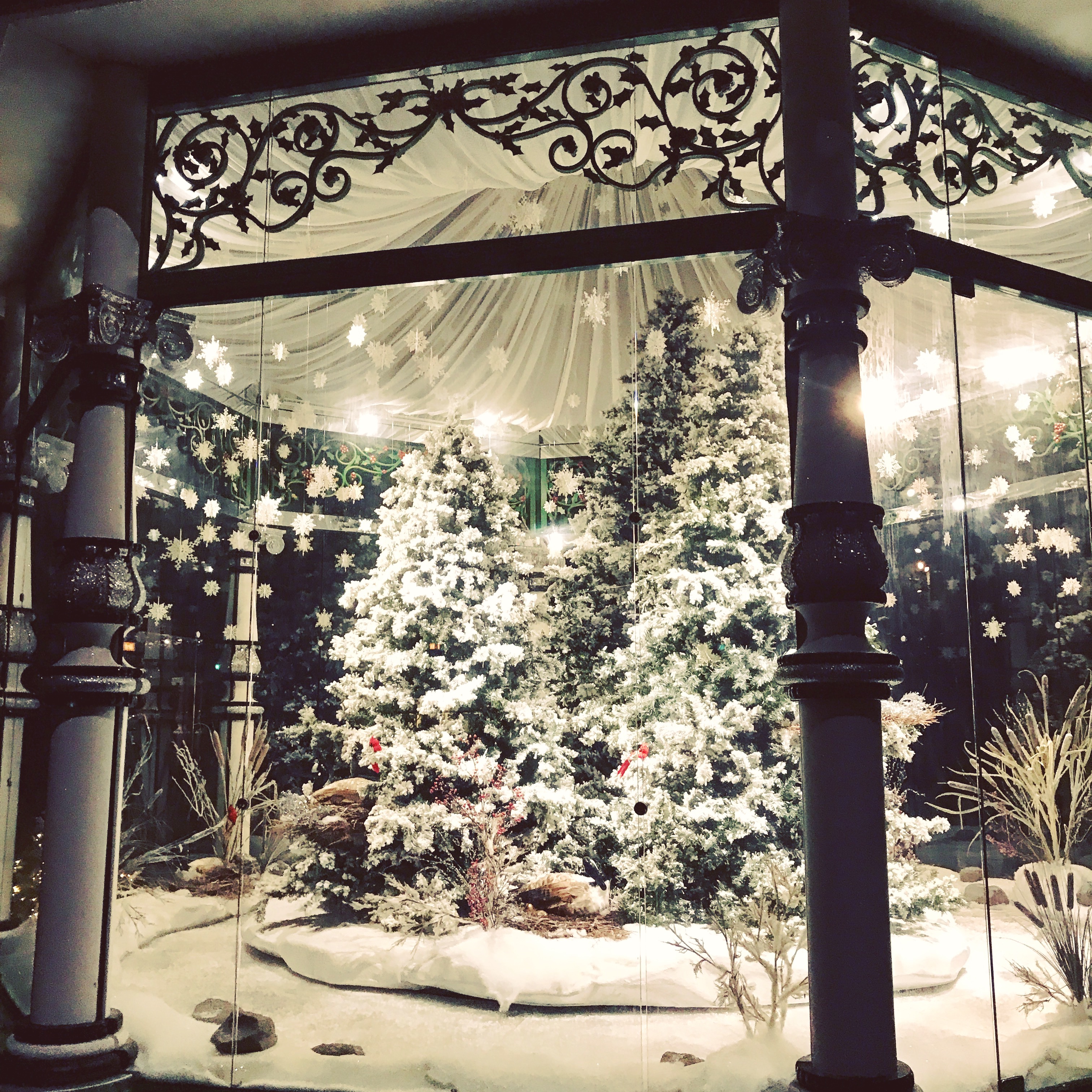 Christmas at Dallas Arboretum