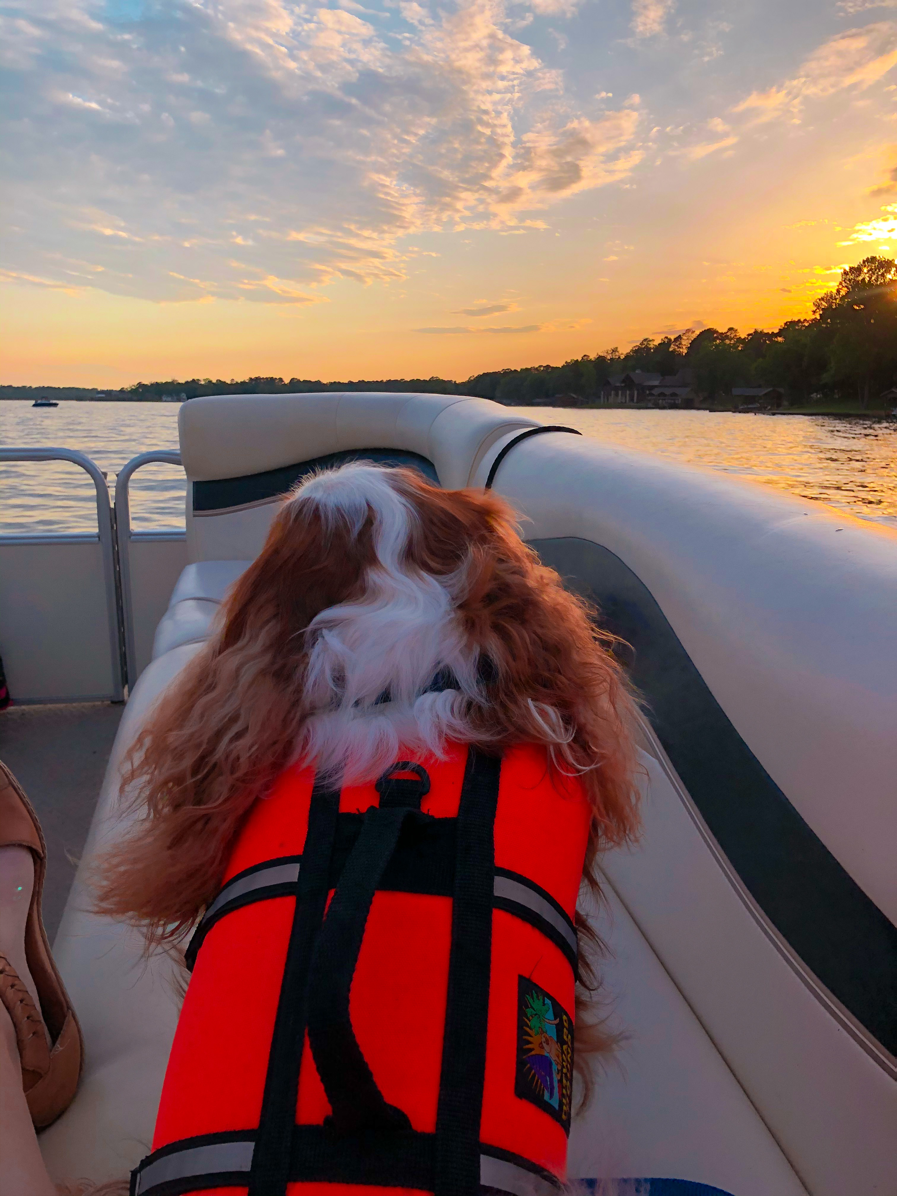 Scenes from the Lake