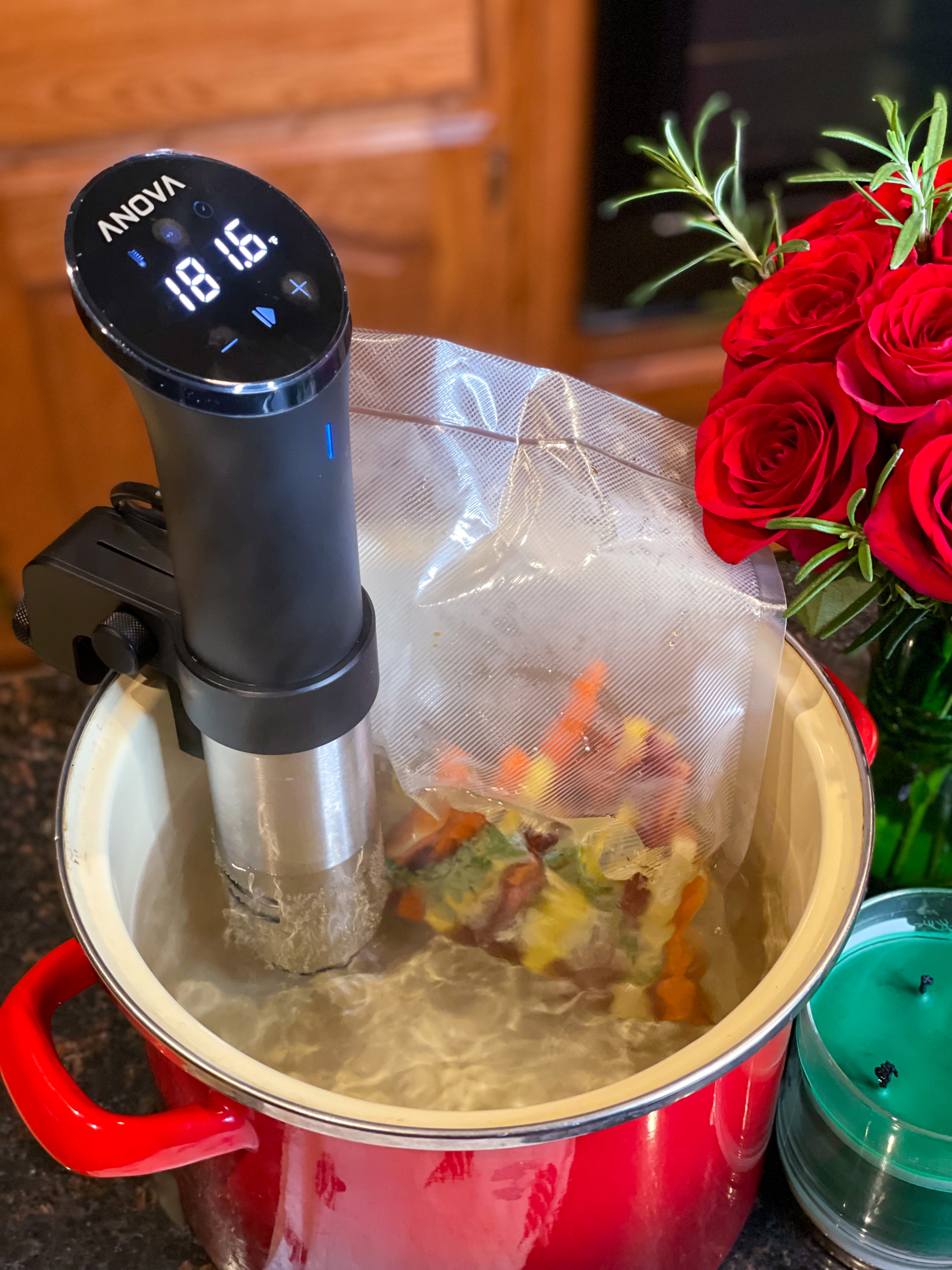 Trying Out Sous Vide Cooking - The Rose Table