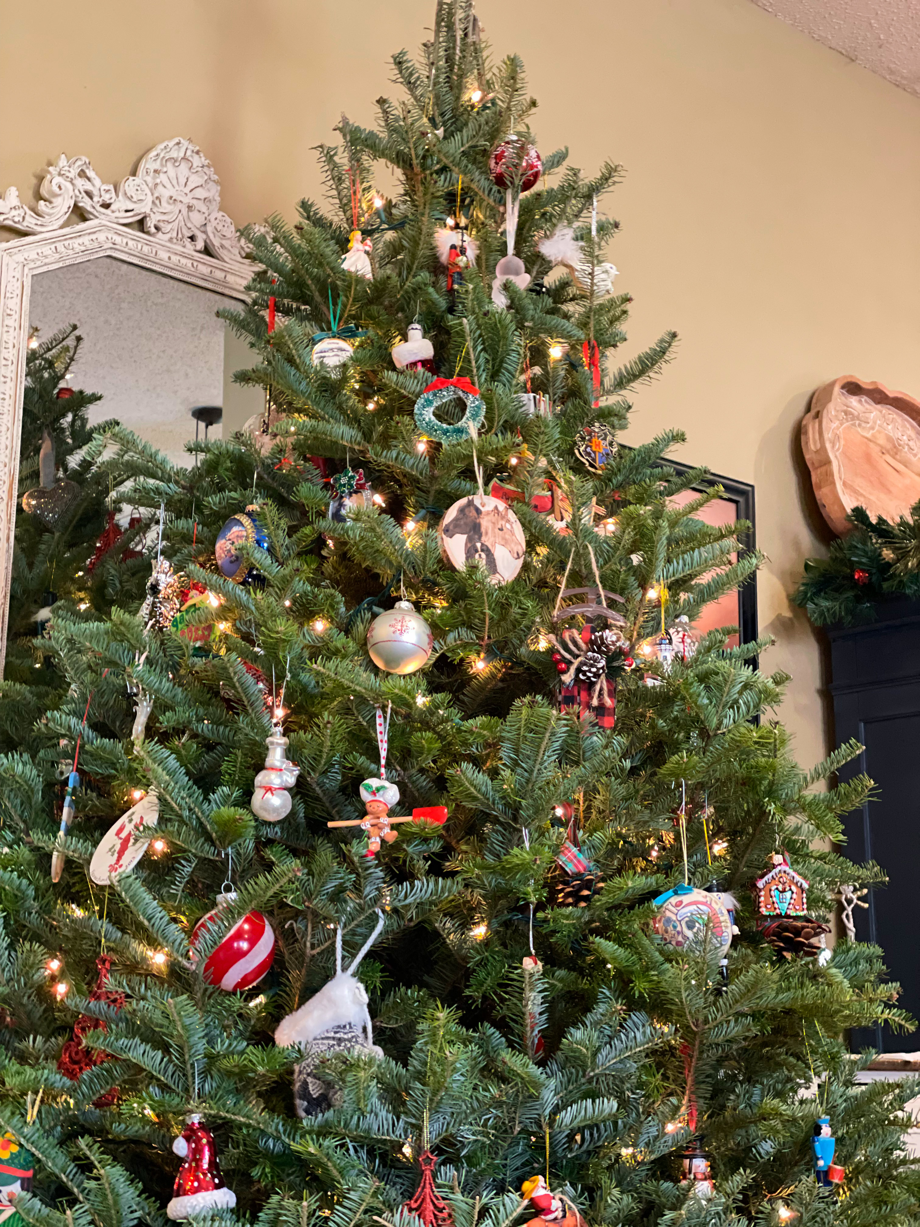Balsam Fraser Hybrid Christmas Trees | Ross Family Christmas Tree Lot