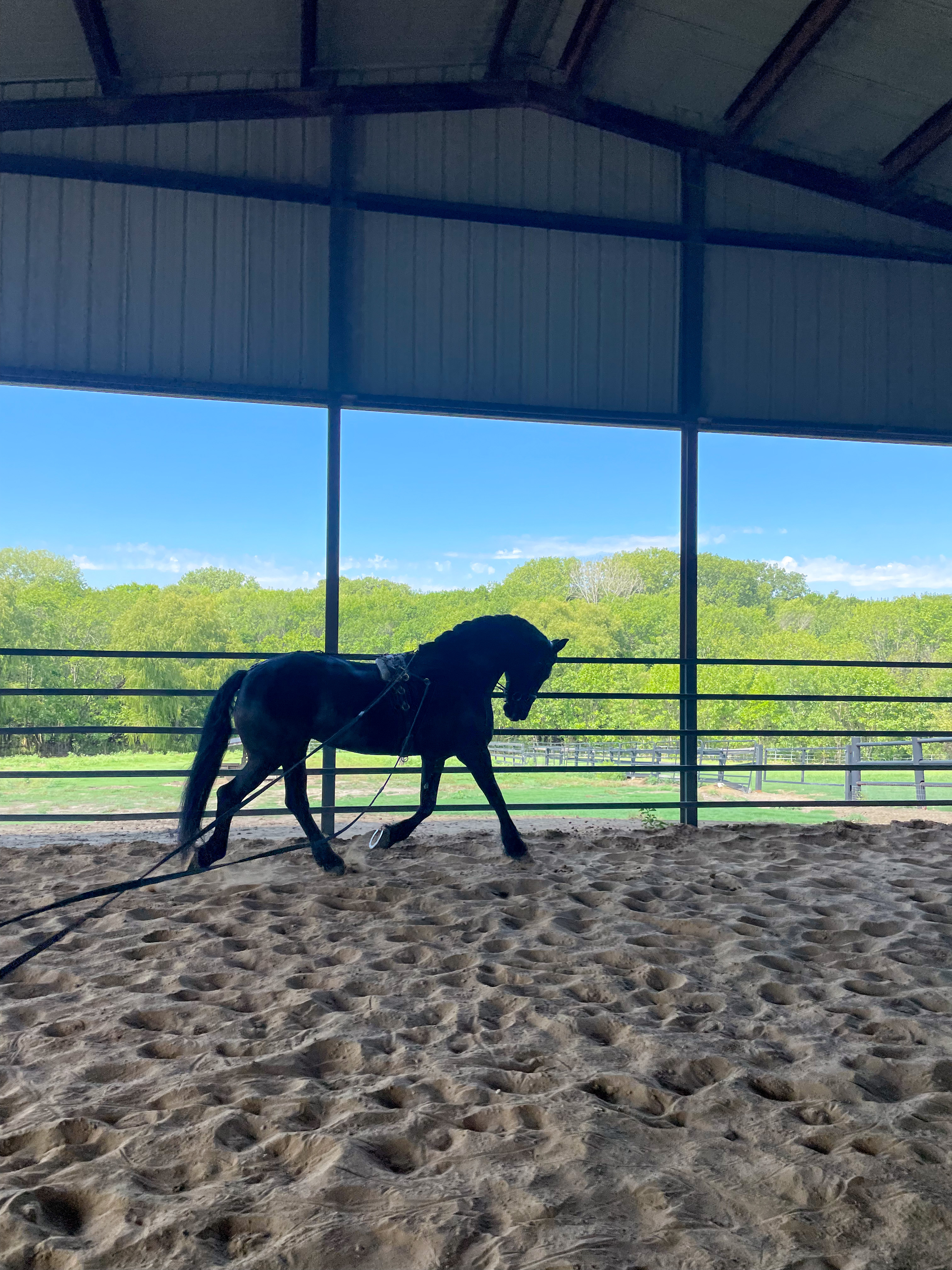 Outfitting Wendy for Driving