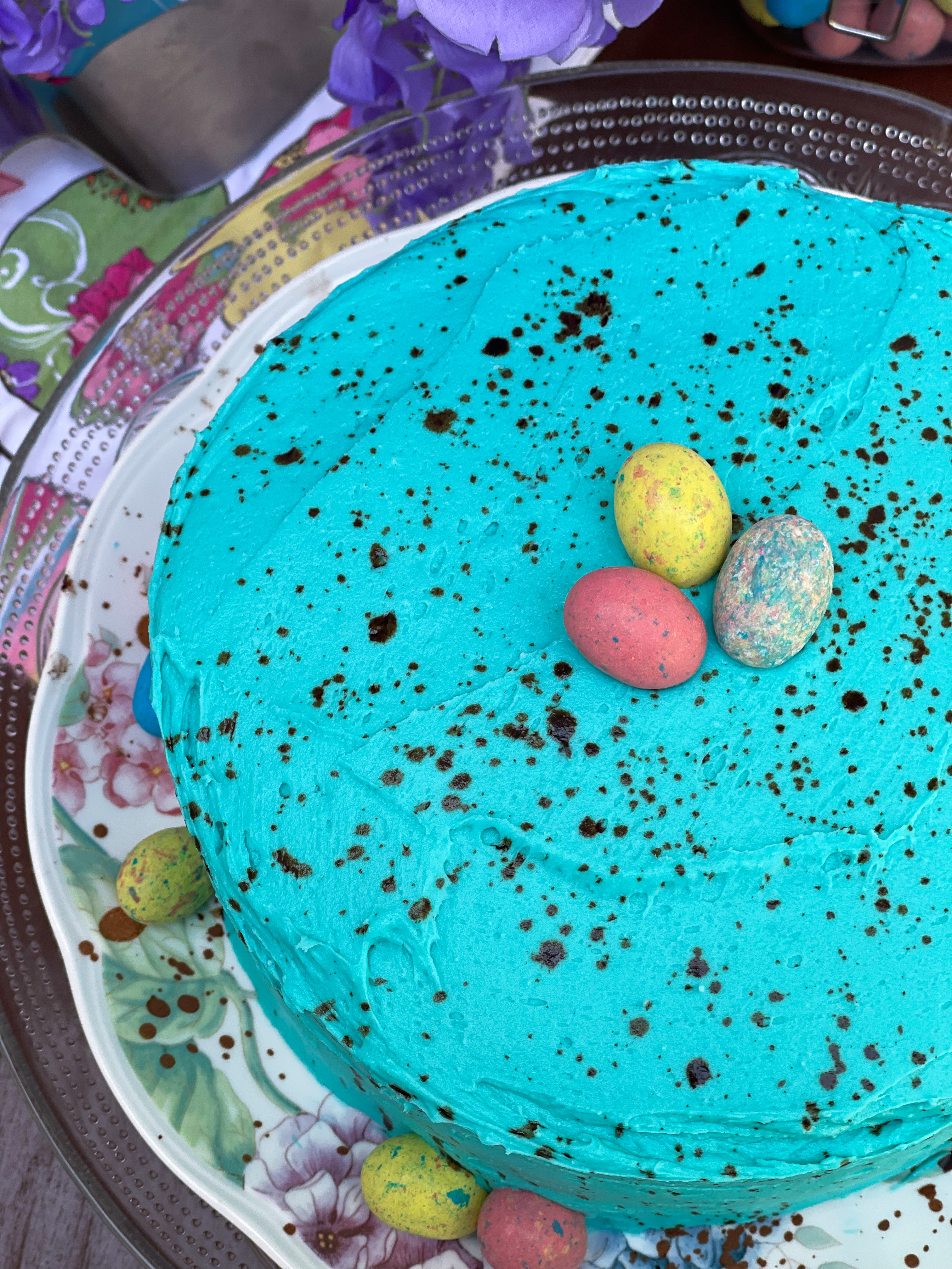 Chocolate Robin’s Egg Cake