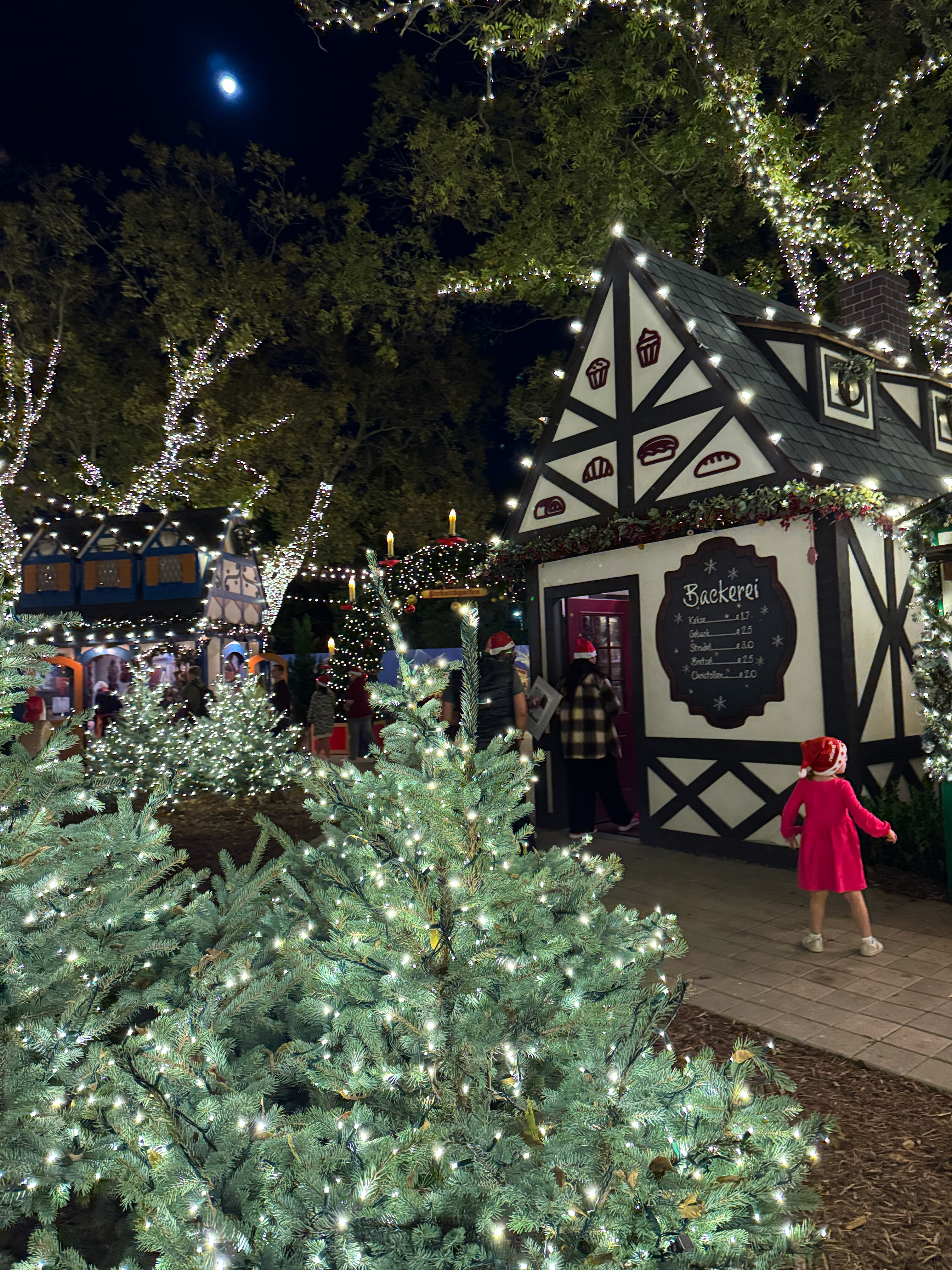 Christmas Village Dallas Arboretum