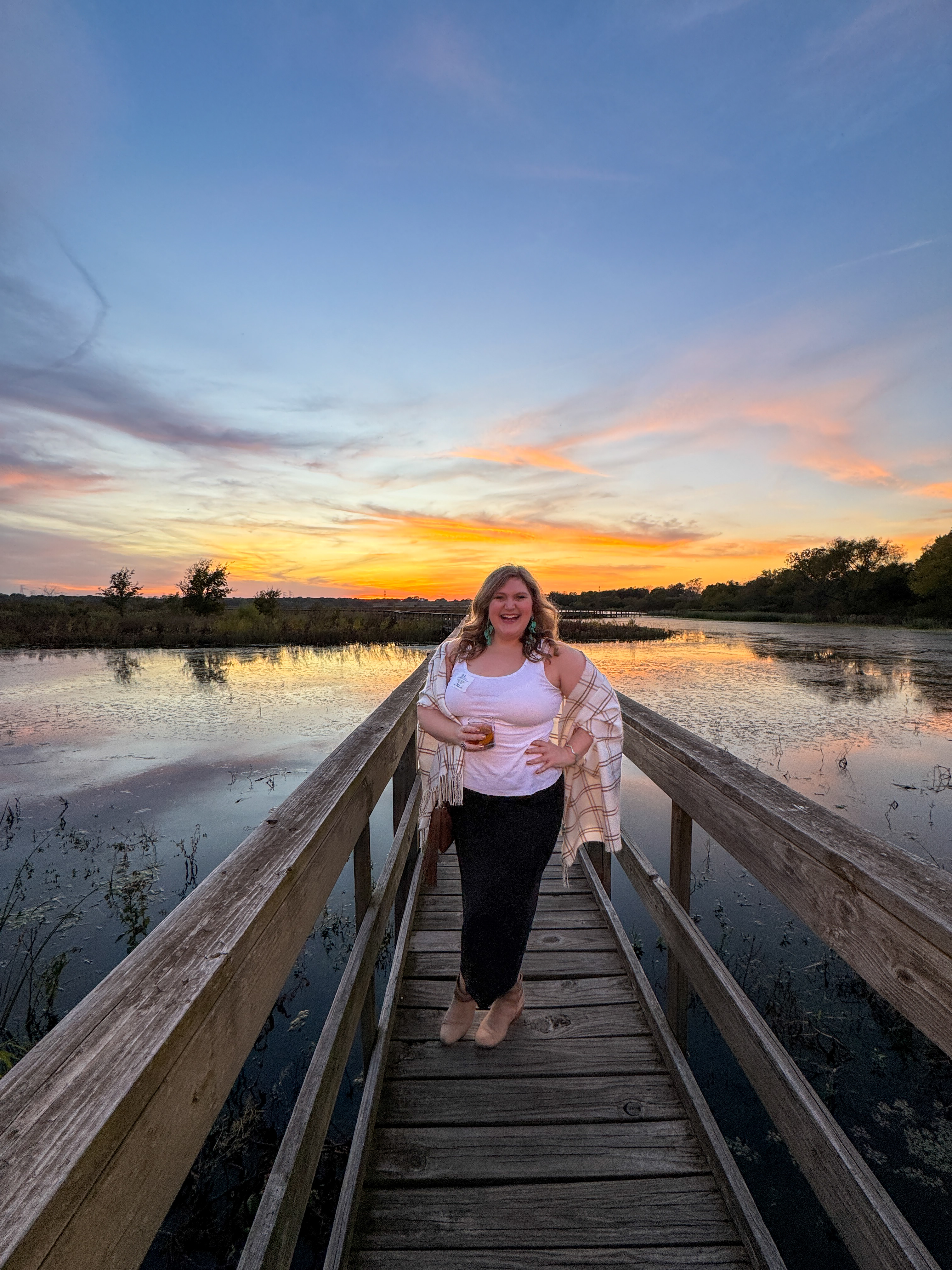 Wings over the Wetland