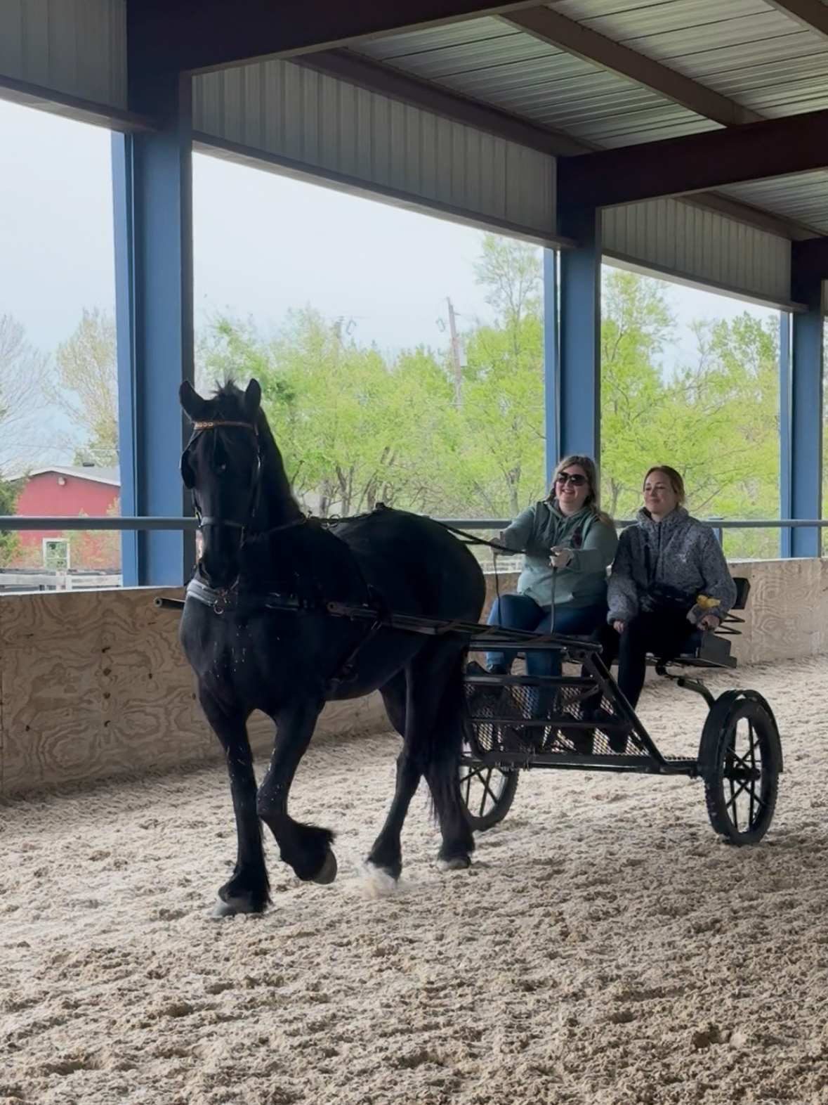 Carriage Drive and Picnic Lunch