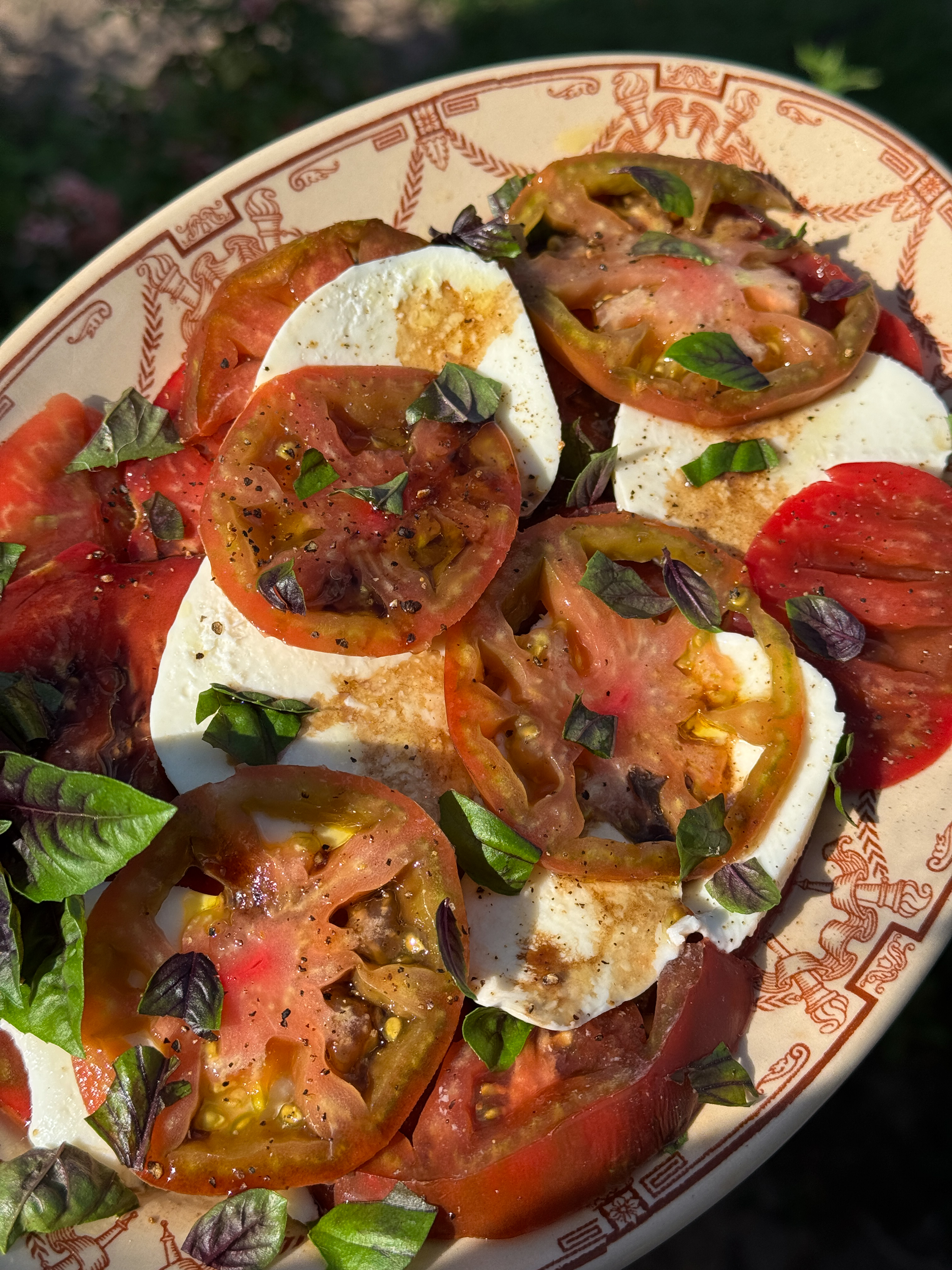 Rustic Caprese