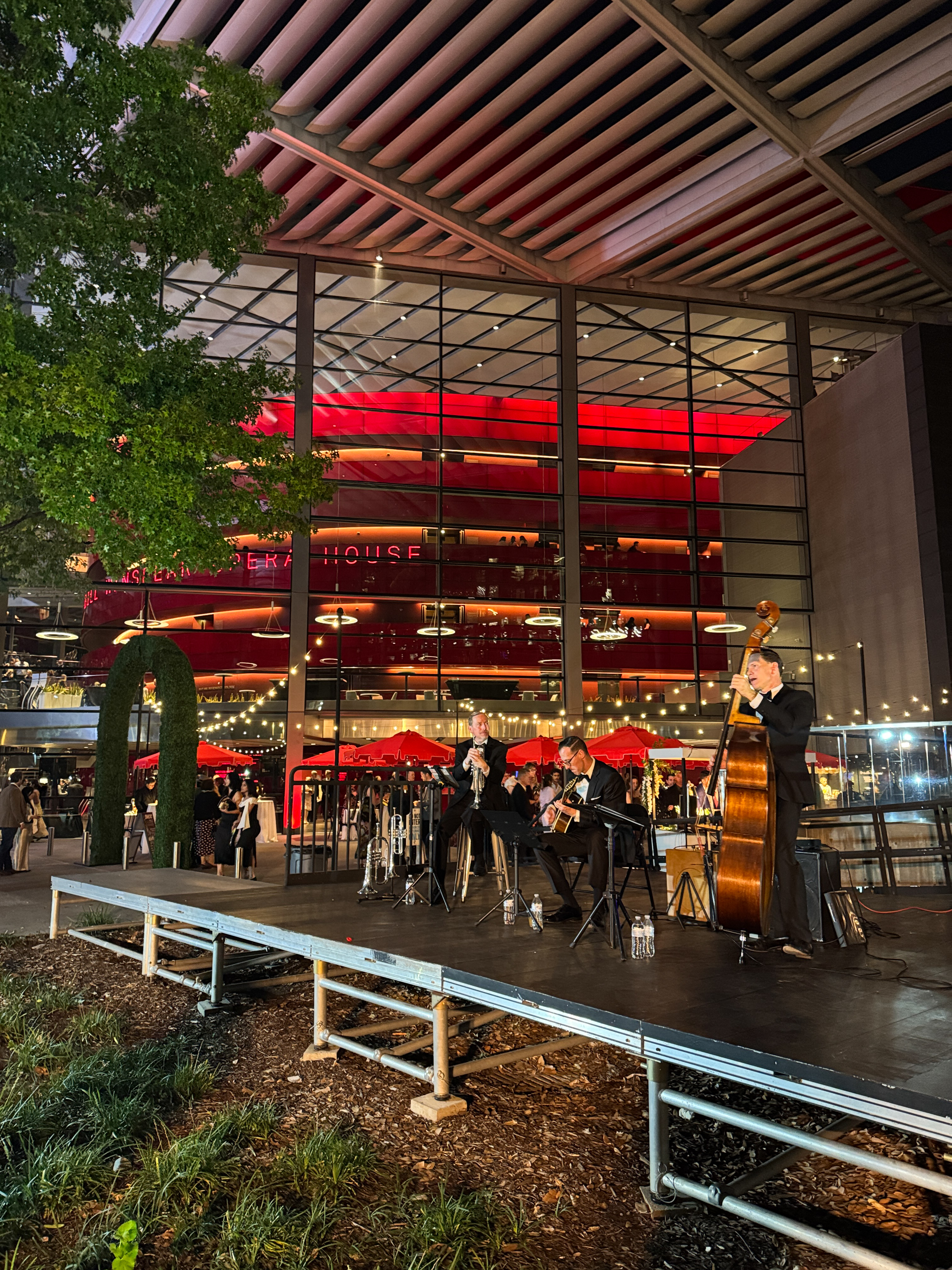 The Elixir of Love at The Dallas Opera